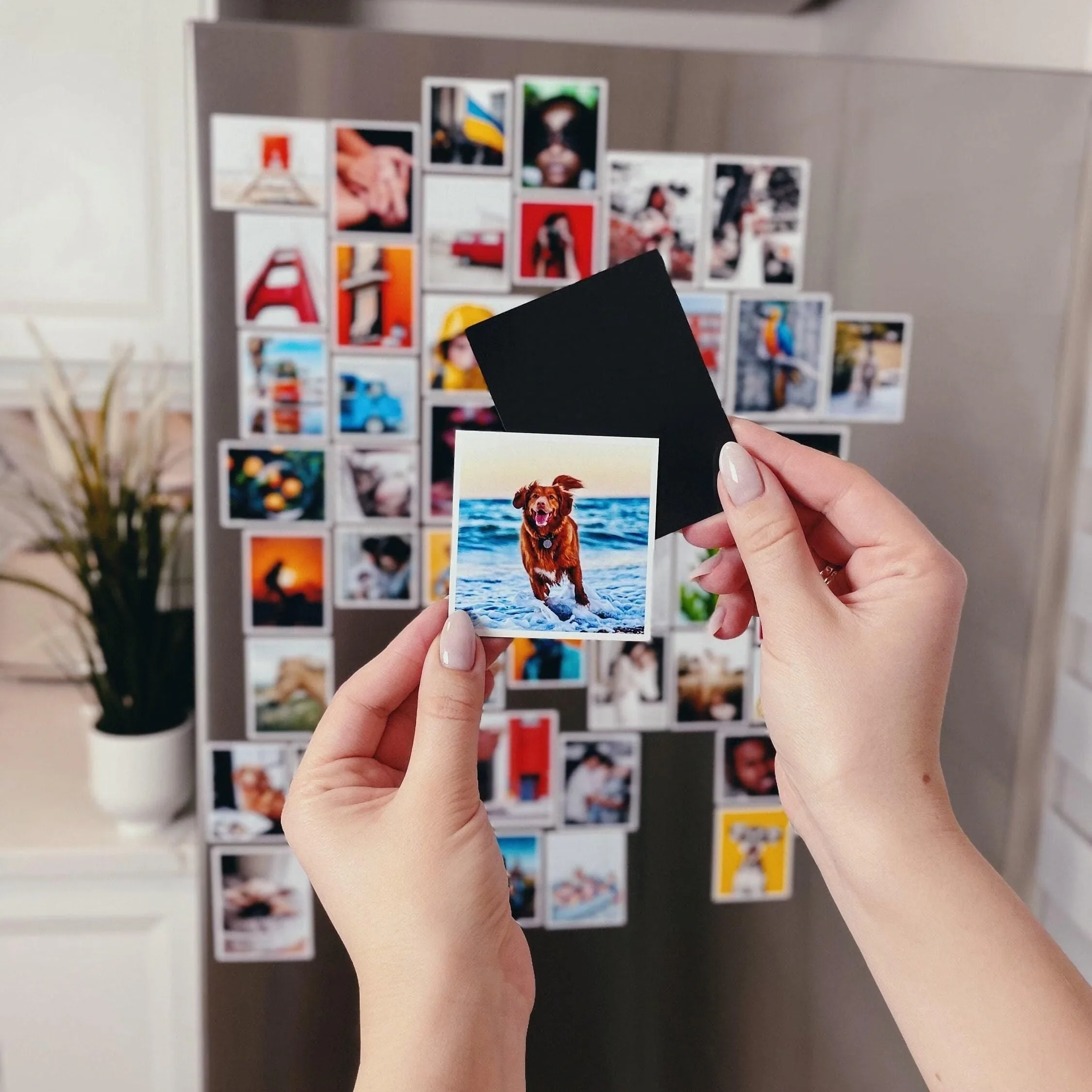 FTM-12 kodlu foto magnet üretim örneği